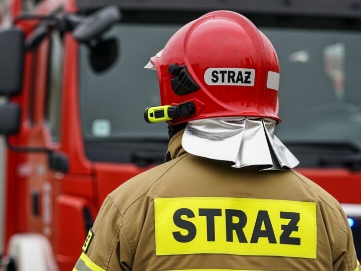 Mali strażacy na konnej przygodzie pełnej emocji!