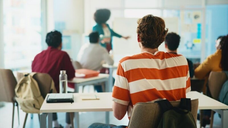 Podkowa Leśna na szczycie edukacji – co czyni ją najlepszym miejscem do życia?