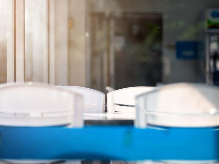 Zanurz się w świat apiterapii: pierwszy wykład o mocy pszczół w Grodzisku Mazowieckim