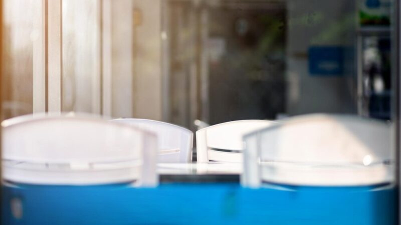 Zanurz się w świat apiterapii: pierwszy wykład o mocy pszczół w Grodzisku Mazowieckim