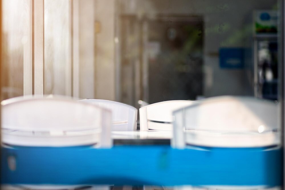 Zanurz się w świat apiterapii: pierwszy wykład o mocy pszczół w Grodzisku Mazowieckim