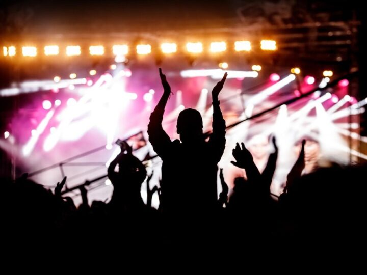 V Festiwal Stawisko: odkryj sztukę i kulturę w Podkowie Leśnej!