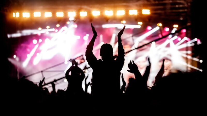 V Festiwal Stawisko: odkryj sztukę i kulturę w Podkowie Leśnej!