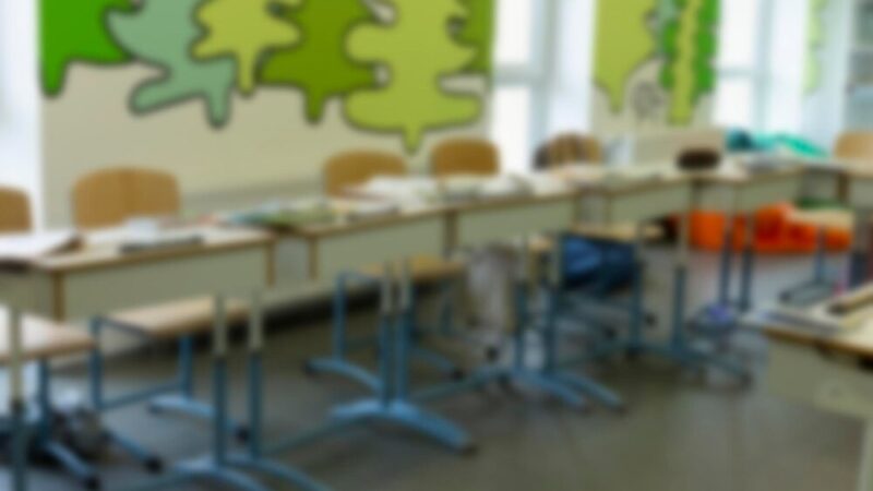 Zimowe ferie w Żabiej Woli – wyjątkowe półkolonie dla Twojego dziecka!