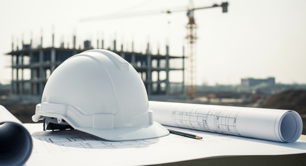 Ochrona ptaków kluczowa podczas termomodernizacji budynku komunalnego