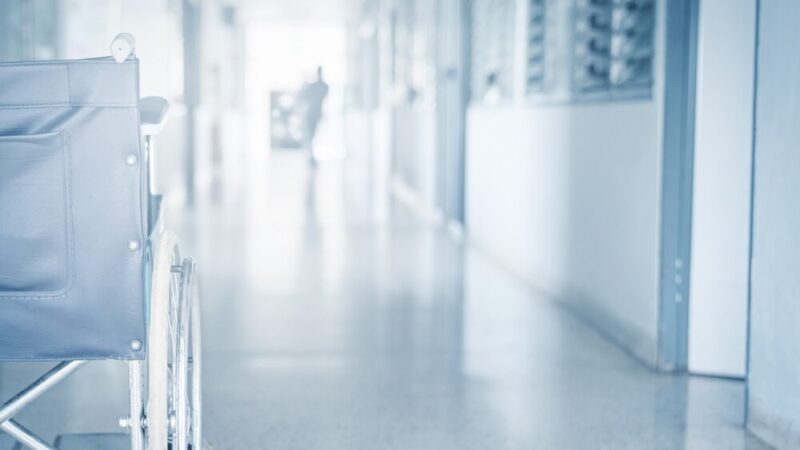 Szczepienia psów przeciwko wściekliźnie w Grodzisku Mazowieckim w 2026 roku