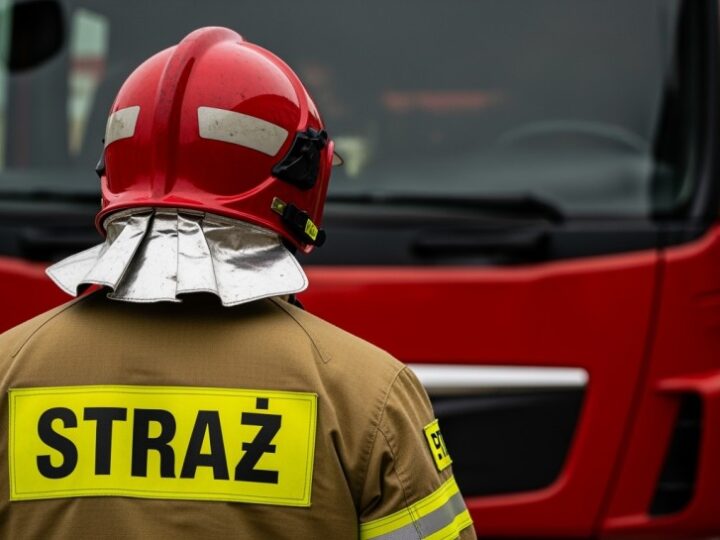 Zatrzymaj Ogień: Dołącz do Kampanii Stop Pożarom Traw!