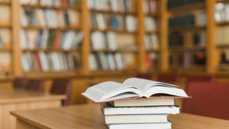 Literatura w trudnych czasach: Spotkanie z Anną Dziewit-Meller i Justyną Sobolewską