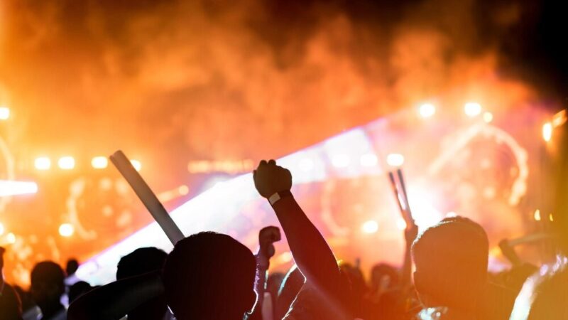 Festiwal Ziołowy „Matko Zielno” – zanurz się w zielonej tradycji Grodziska Mazowieckiego!