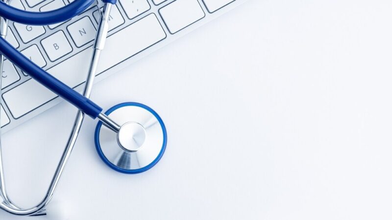 Jesienna akcja szczepień lisów przeciwko wściekliźnie w Mazowszu